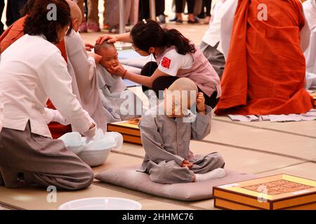 11. Mai 2015 ? Südkorea, Seoul: Das südkoreanische Kind nimmt an der Zeremonie 'Kinder werden buddhistische Mönche' Teil, die den Geburtstag buddhas in einem Chogye-Tempel in Seoul, Südkorea, ankündigte. Die Haare der Kinder werden während der Zeremonie „Kinder werden buddhistische Mönche“ vor buddhas Geburtstag in einem Chogye-Tempel abgeschoren. Die Kinder werden 14 Tage lang im Tempel bleiben, um etwas über den Buddhismus zu erfahren. Buddha wurde vor etwa 2.559 Jahren geboren, und obwohl das genaue Datum unbekannt ist, wird Buddhas offizieller Geburtstag im Mai auf dem Vollmond in Südkorea gefeiert, der am 25. Mai dieses Jahres ist. Stockfoto