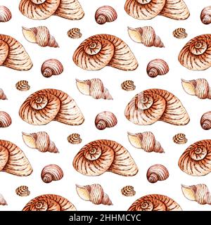 Aquarell-Illustration eines Musters aus nahtlosen Muscheln in beigefarbenen Tönen. Endlos wiederholender mariner Hintergrund. Jakobsmuscheln, Muscheln und Spiralen. Isolieren Stockfoto