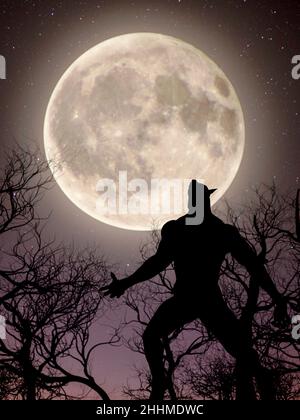 Illustration eines Werwolf während des Vollmondes im gruseligen Wald - 3d-Rendering Stockfoto