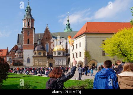 KRAKAU, MALOPOLSKIE POLEN - 30. April 2017: Touristen besuchen das königliche Schloss Wawel. Besuch in Krakau Stockfoto