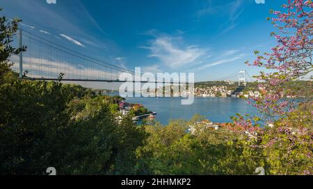 Frühling in Istanbul. Blick auf den Bosporus und die berühmten Rotknospen-Blumen. Blick auf Istanbul vom Mihrabat Park. Beykoz, Türkei Stockfoto