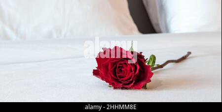 Romantische rote Rose auf dem Hotelbett. Stockfoto