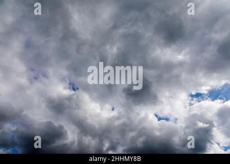 Schwere weiße und graue Wolken sammeln sich vor einem blauen Himmel vor einem Regensturm im Südosten Englands. Aufgenommen mit einem Weitwinkelobjektiv mit 24mm Brennweiten Stockfoto