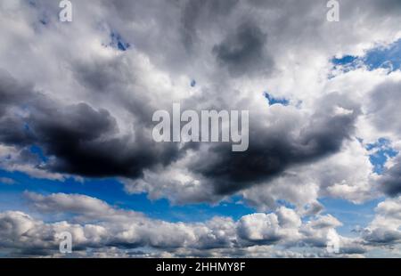 Schwere weiße und graue Wolken sammeln sich vor einem blauen Himmel vor einem Regensturm im Südosten Englands. Aufgenommen mit einem Weitwinkelobjektiv mit 24mm Brennweiten Stockfoto