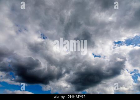 Schwere weiße und graue Wolken sammeln sich vor einem blauen Himmel vor einem Regensturm im Südosten Englands. Aufgenommen mit einem Weitwinkelobjektiv mit 24mm Brennweiten Stockfoto