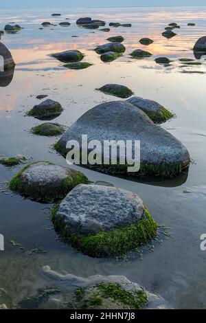 Blaue Stunde nach dem Sonnenuntergang über der felsigen Ostsee kosten. Kleine Steine und große Felsbrocken im Meer. Langzeitbelichtung Stockfoto