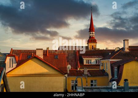 Blick auf die Altstadt von Pärnu im Sommer. Stockfoto