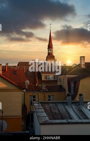 Blick auf die Altstadt von Pärnu im Sommer. Stockfoto