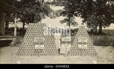 Frau Eron Dooley von Bishop, nahe Athen, Georgia, USA, steht zwischen zwei Stapeln Tomatendosen - frühes Canning Club-Foto - Anfang des 20. Jahrhunderts Stockfoto