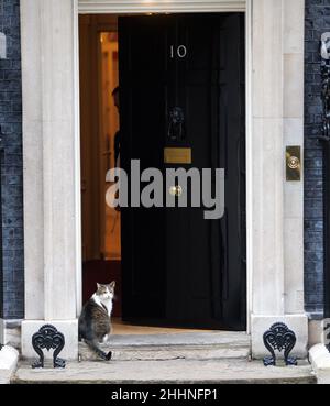 London, Großbritannien. 25th Januar 2022. Larry, die Katze vor der Tür der Downing Street Nr. 10. Kredit: Mark Thomas/Alamy Live Nachrichten Stockfoto