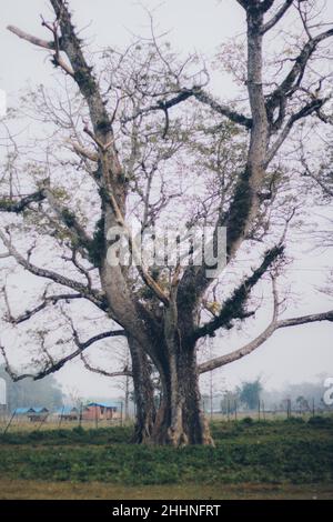 Hängebrücke in Nepal Stockfoto