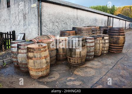 Whiskyfässer in der Glengoyne Distillery und Besucherattraktion. Stockfoto