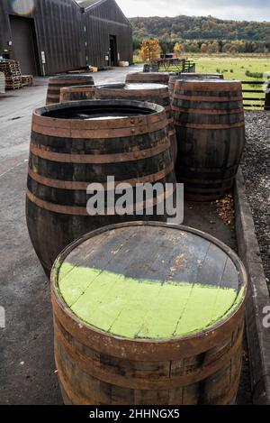 Whiskyfässer in der Glengoyne Distillery und Besucherattraktion. Stockfoto