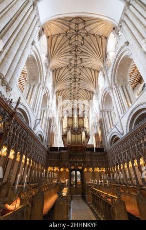 Kathedralen UK; Norwich Cathedral interior UK; der Chor, die Orgel und die Decke, Norwich, Norfolk UK Stockfoto