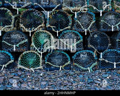 Hummertöpfe für den Winter, Bude, Cornwall, Großbritannien Stockfoto