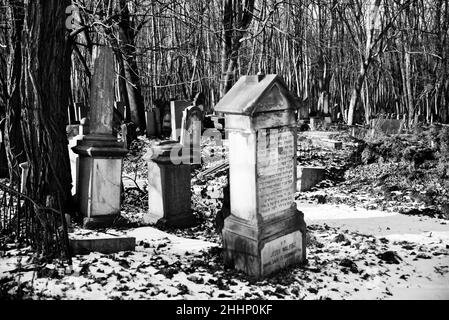 Jüdischer Friedhof, Muranow, Warschau Stockfoto