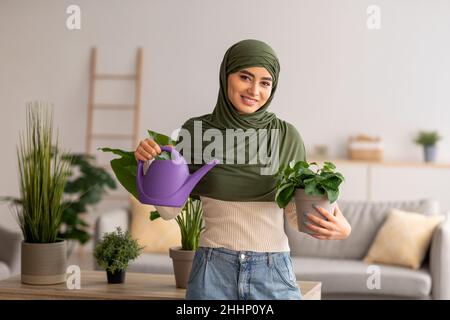 Porträt einer glücklichen jungen arabischen Frau in Hijab mit Wassertopf und Zimmerpflanzen, die in Innenräumen posieren und vor der Kamera lächeln Stockfoto