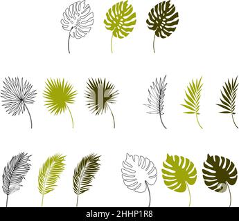 Vektordarstellung eines Satzes tropischer Blätter. Isoliert auf weißem Hintergrund. Stock Vektor