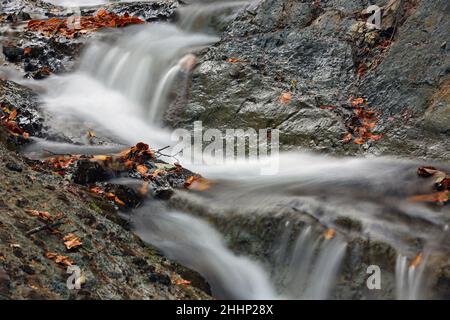 Landschaft mit Kaskade von kleinen Wasserfall auf Bergbach in den Karpaten Stockfoto