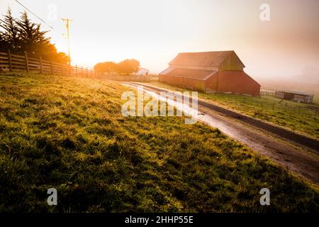 Red Barn on Farm in Petaluma, Kalifornien Stockfoto