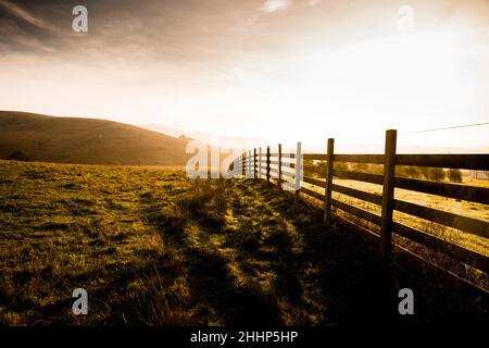 Farmszene in Petaluma, Kalifornien Stockfoto