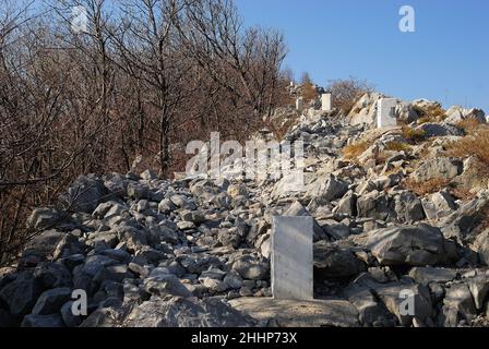 Der unzugängliche Kamm des Monte Sabotino (Sabotin) blickt über das enge Tal des Flusses Isonzo (Soca). Die dicht gepflanzten weißen Pfosten markieren die Grenze zwischen Italien und Slowenien und erinnern uns daran, dass in den Jahren des Kalten Krieges der Eiserne Vorhang auf dieser Linie verlief. Stockfoto