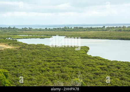 Der Blick auf die Feuchtgebiete und Mangroven des Rhyll Inlet auf Phillip Island, Victoria, Australien Stockfoto