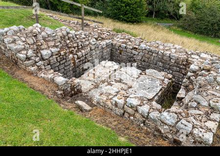 Die Überreste des nordöstlichen Turms und des Toilettenblocks in den Ruinen der römischen Hilfsfestung Vindolanda in Chesterholm, Northumberland, Großbritannien Stockfoto