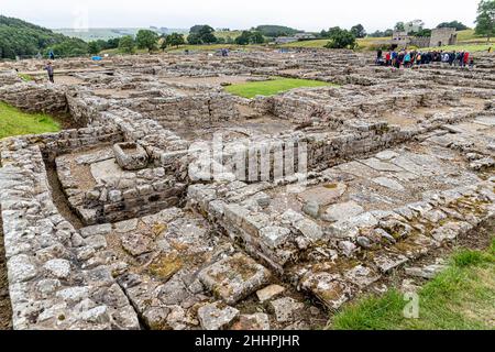 Die Ruinen der römischen Hilfsfestung Vindolanda in Chesterholm, Northumberland, Großbritannien Stockfoto