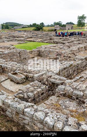 Die Ruinen der römischen Hilfsfestung Vindolanda in Chesterholm, Northumberland, Großbritannien Stockfoto