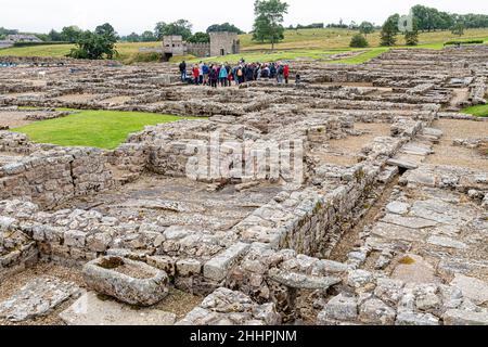 Die Ruinen der römischen Hilfsfestung Vindolanda in Chesterholm, Northumberland, Großbritannien Stockfoto