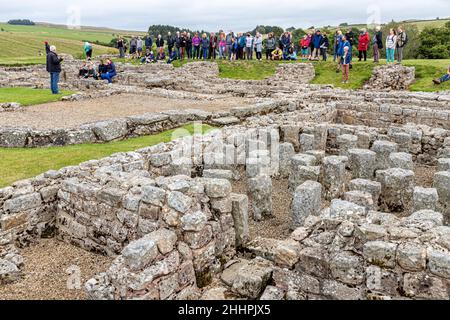 Eine Gruppe, die eine Führung durch die Ruinen der römischen Hilfsfestung Vindolanda in Chesterholm, Northumberland, Großbritannien, macht Stockfoto