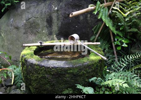 Japanische Teezeremonie Werkzeuge in der Natur Stockfoto