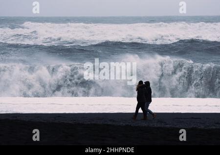 Zwei Touristen wandern am schwarzen Sandstrand Reynisfjara in der Nähe des kleinen Fischerdorfes Vík im Süden Islands. Die riesigen Wellen zwergen die Wanderer. Stockfoto