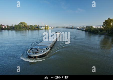 Deutschland, Baden-Württemberg, weil-am-Rhein, Binnenschiff auf dem Rhein Stockfoto