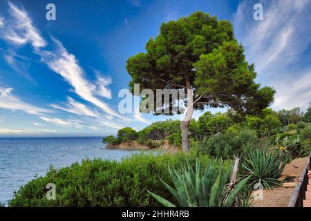 Schönes Panorama von Punta Licosa, Santa Maria di Castellabate - Ogliastro, Italien, Kampanien, Salerno Stockfoto