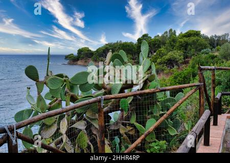 Schönes Panorama von Punta Licosa, Santa Maria di Castellabate - Ogliastro, Italien, Kampanien, Salerno Stockfoto