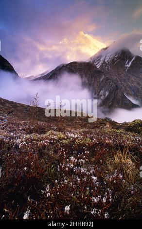 Blick auf den Machhapuchhare Mountain vom Machhapuchhare Base Camp Annapurna Region, Nepal Stockfoto