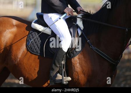 Nahaufnahme eines nicht identifizierten Konkurrenten auf einem Springpferd. Equitation Event im Sommer. Springpferd unter dem Sattel in Aktion. Unbekannte dre Stockfoto