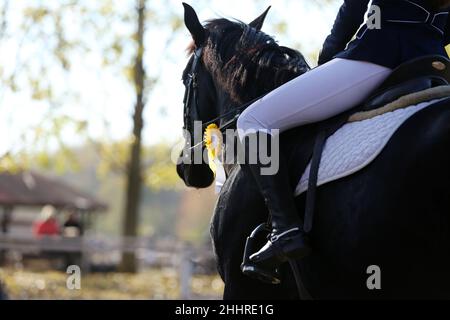 Nahaufnahme eines nicht identifizierten Konkurrenten auf einem Springpferd. Equitation Event im Sommer. Springpferd unter dem Sattel in Aktion. Unbekannte dre Stockfoto