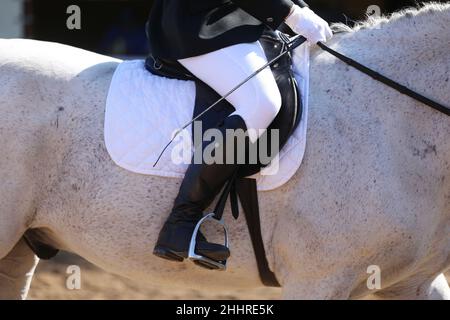 Nahaufnahme eines nicht identifizierten Konkurrenten auf einem Springpferd. Equitation Event im Sommer. Springpferd unter dem Sattel in Aktion. Unbekannte dre Stockfoto