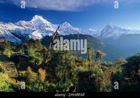 Dorf Ghandruk, Annapurna South und Machapuchre Mountains, Annapurna Region, Nepal Stockfoto