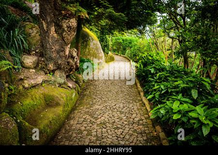 Pfad aus gepflasterten Steinen durch einen üppigen Naturgarten auf dem Santa Maria Trail in Sintra, Portugal Stockfoto