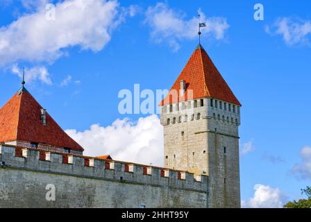 Schloss auf der Insel Saremaa. Wunderschöne Natur, blauer Himmel Stockfoto