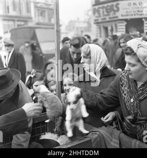 Welpen zum Verkauf an einem Stand auf dem Flohmarkt in Club Row, Bethnal Green, E1 London 1st. März 1955 Stockfoto