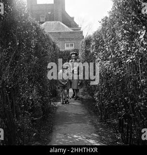 Labyrinth von Hampton Court, London Borough of Richmond upon Thames, London, 8. April 1954. Stockfoto
