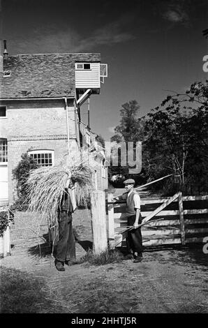 Zwei Männer arbeiten in Flatford Mill, am Fluss Stour in der Nähe der Grenze zwischen Suffolk und Essex. Die Mühle ist in vielen Gemälden von John Constable zu sehen. East Bergholt, Suffolk. Ca. 1945. Stockfoto