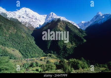 Blick auf das Dorf Ghandruk mit dem Machapuchare-Berg im Hintergrund, Annapurna-Region, Nepal Stockfoto