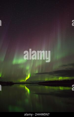 Nordlichter spiegeln sich im See in den Northwest Territories, Kanada Stockfoto