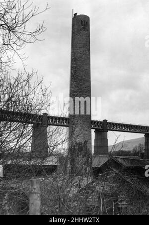 Walnut Tree Viaduct, ein Eisenbahnviadukt oberhalb des südlichen Dorfs von Taffs Well, Cardiff, South Wales, Mittwoch, 9th. Januar 1952. Aus Ziegelsteinsäulen und Stahlgitterträgern Spannweiten. Unser Bild Zeigt ... Steeplejacks bei der Arbeit der Abbau des Stapels der alten Melingriffith Tin Plate funktioniert bei Taffs gut. Stockfoto